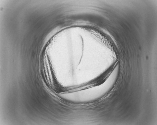 X0000085291467200704092219
