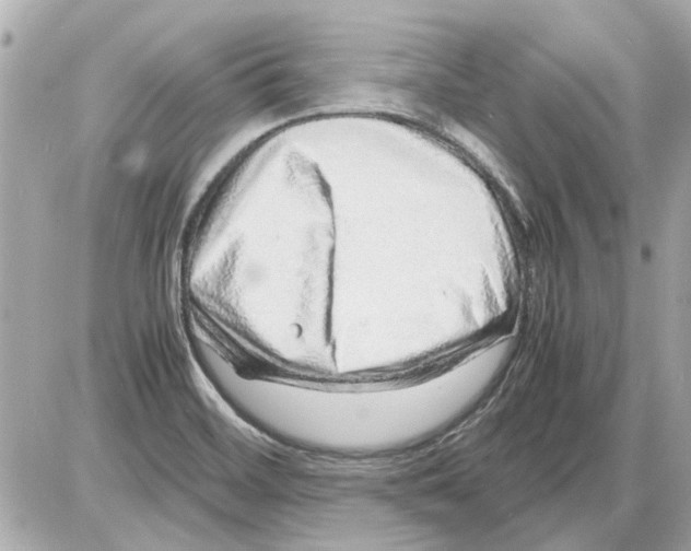 X0000085291468200704092219