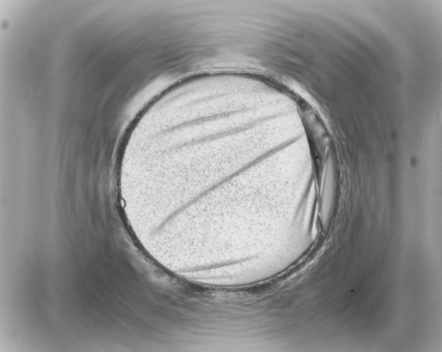 X0000085291469200704092219