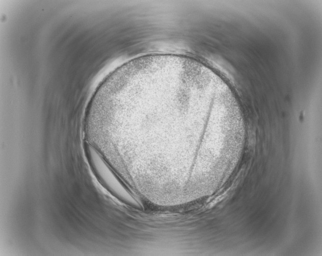 X0000085291471200704092219