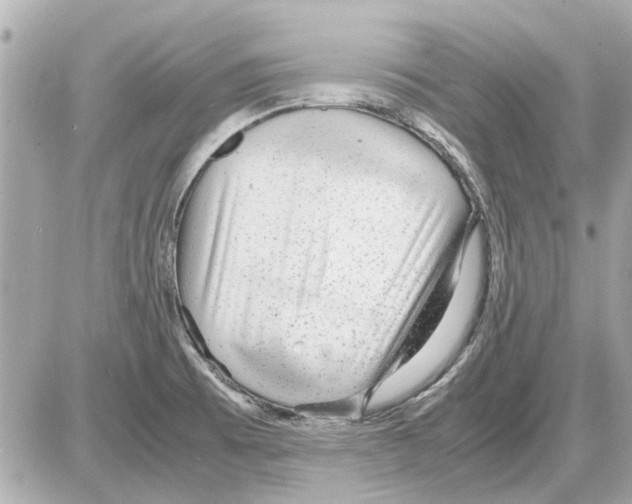 X0000085291473200704092219