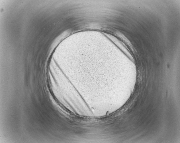 X0000085291475200704092219