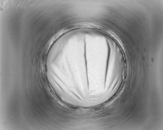 X0000085291481200704092219