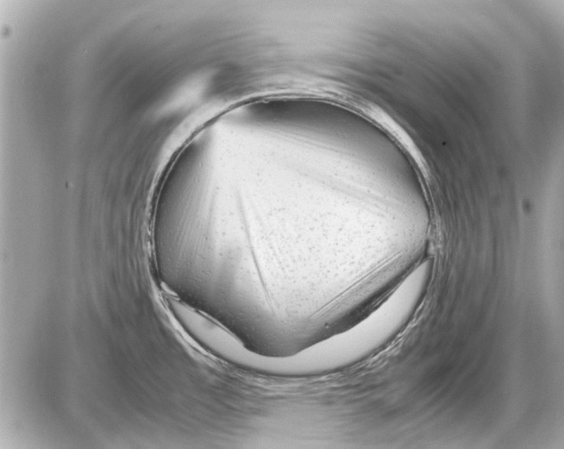 X0000085291485200704092219