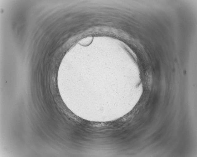 X0000085291489200704092218