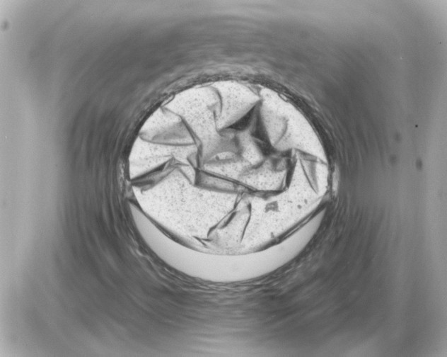 X0000085291492200704092218
