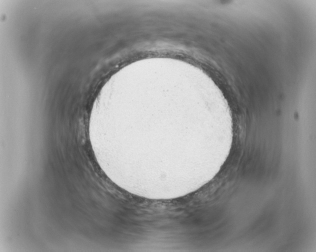 X0000085291493200704092218