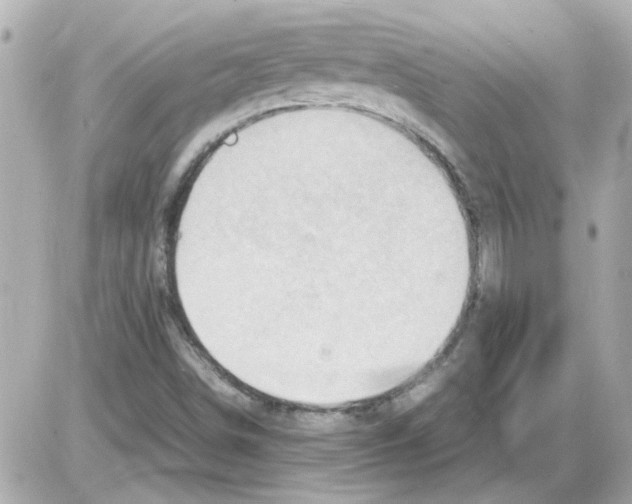 X0000085291498200704092218