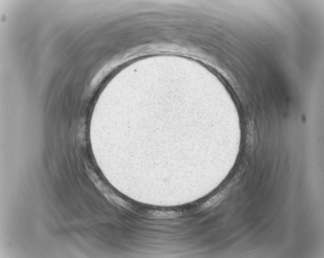 X0000085291499200704092218