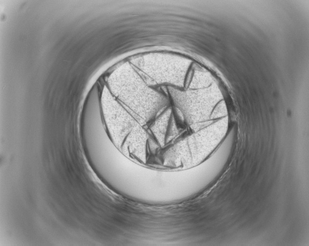 X0000085291516200704092219