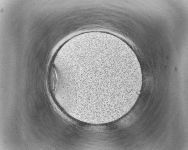 X0000085291518200704092219