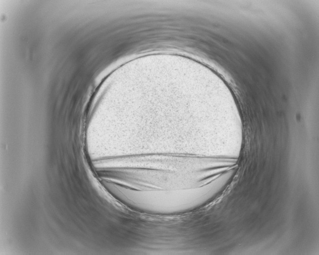 X0000085291526200704092219