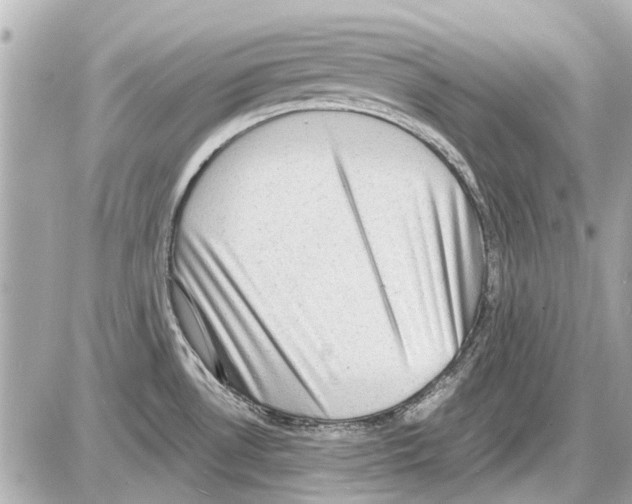 X0000085291530200704092219