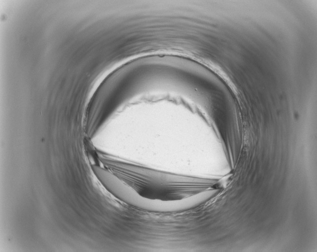 X0000085291532200704092219