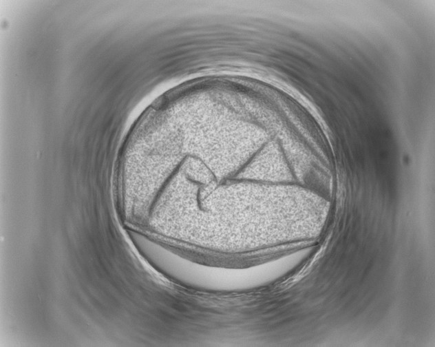 X0000085291533200704092219