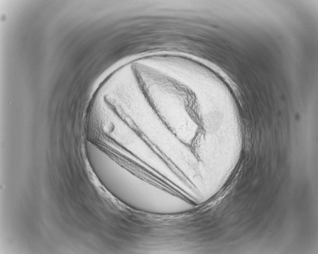 X0000085291534200704092219