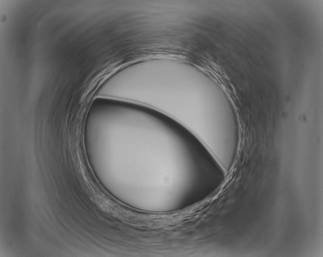 X0000085300001200703091131