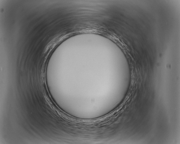 X0000085300002200703091131