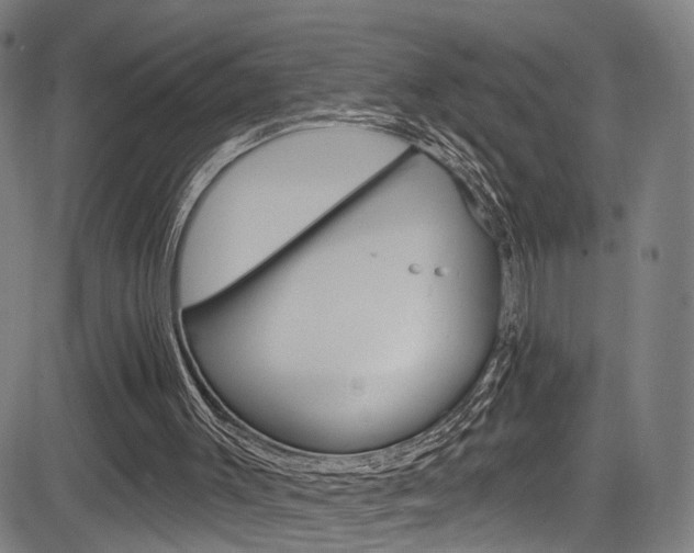 X0000085300003200703091131