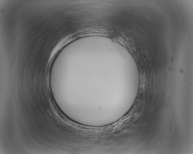 X0000085300004200703091131