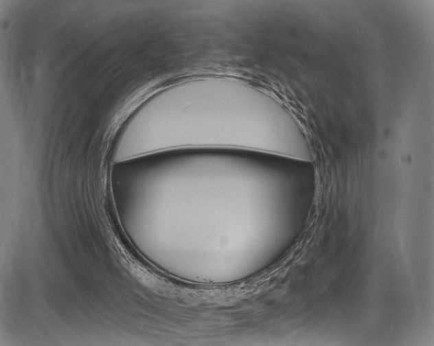 X0000085300005200703091131