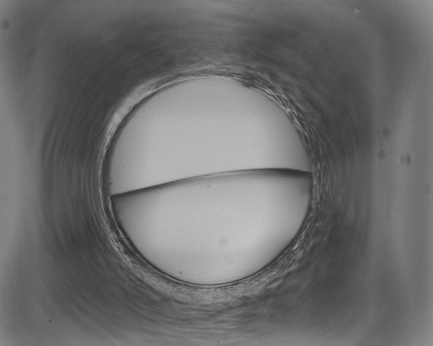 X0000085300006200703091131