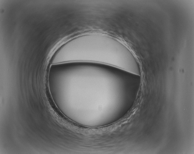 X0000085300007200703091131