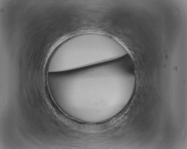 X0000085300008200703091131