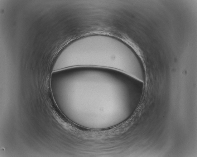 X0000085300009200703091131