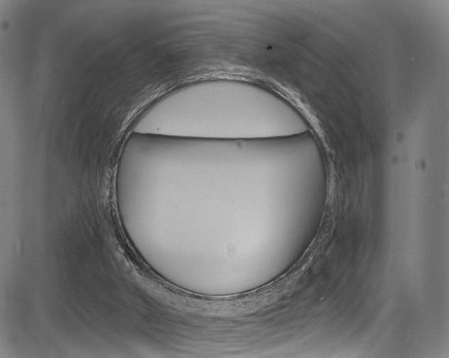 X0000085300010200703091131