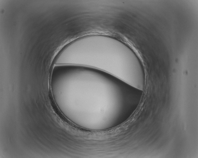 X0000085300011200703091131