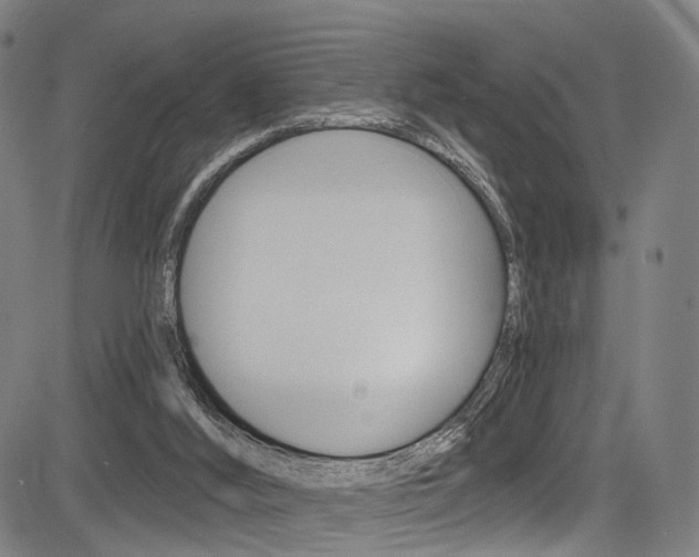 X0000085300012200703091131