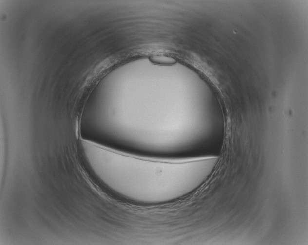 X0000085300013200703091131