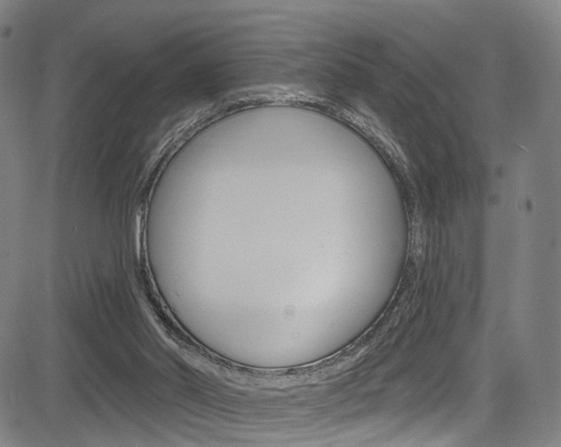 X0000085300014200703091131