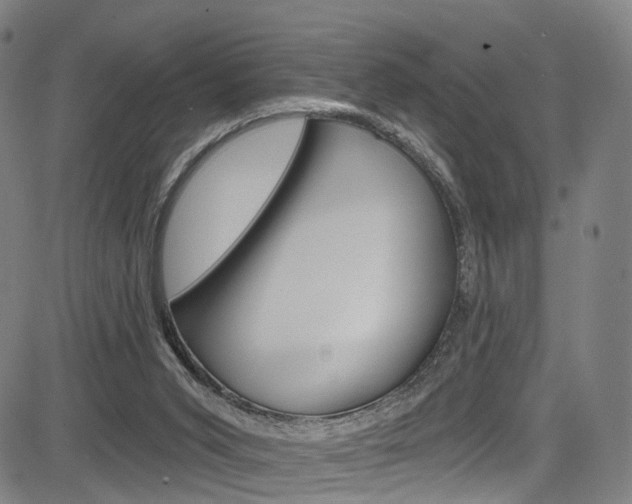 X0000085300015200703091131