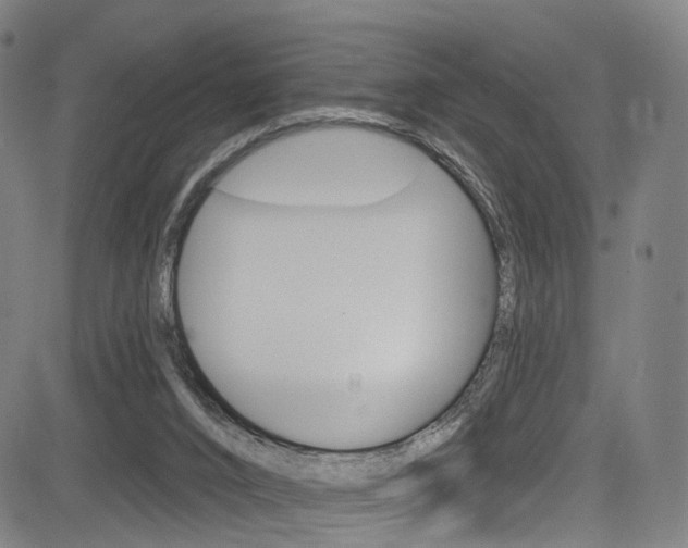 X0000085300016200703091131