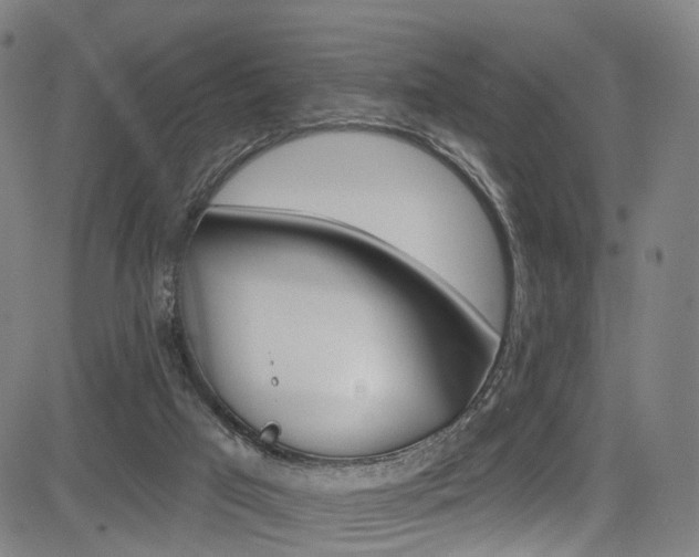 X0000085300017200703091131