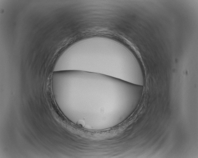 X0000085300018200703091131