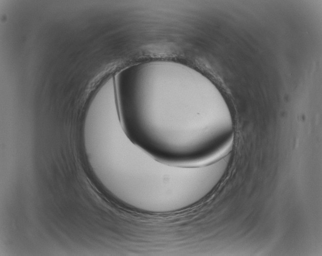 X0000085300019200703091131