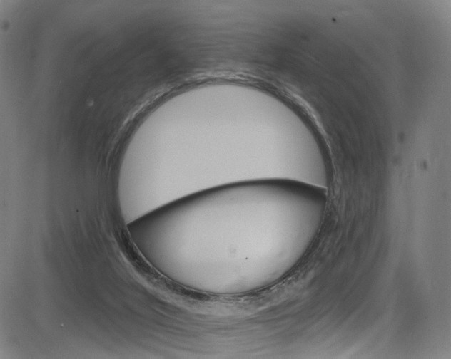 X0000085300020200703091131