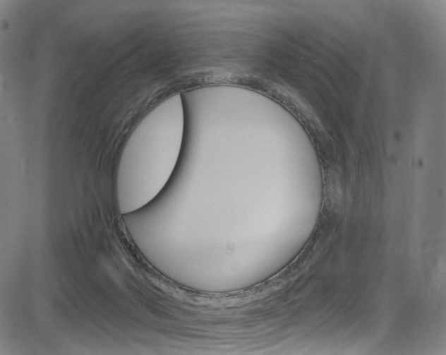 X0000085300022200703091131