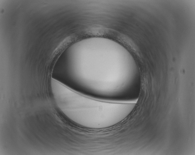 X0000085300023200703091131