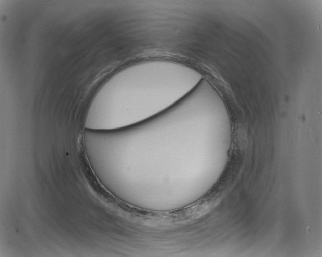 X0000085300024200703091131