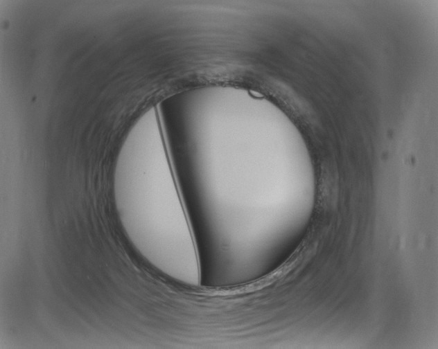 X0000085300025200703091131