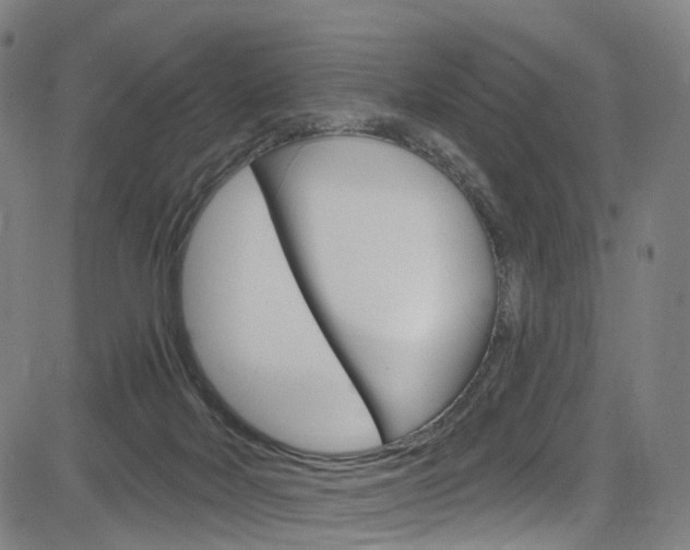 X0000085300026200703091131