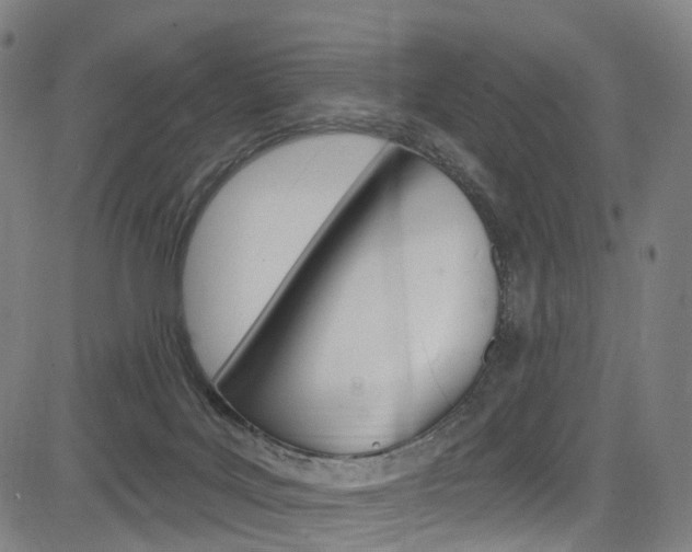 X0000085300027200703091131