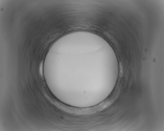 X0000085300028200703091131