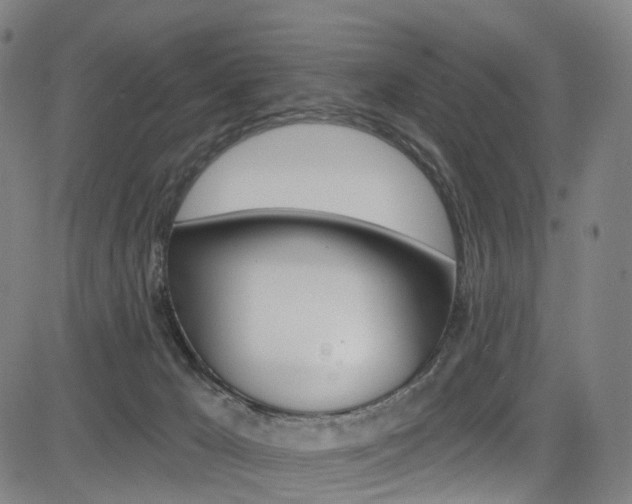 X0000085300029200703091131