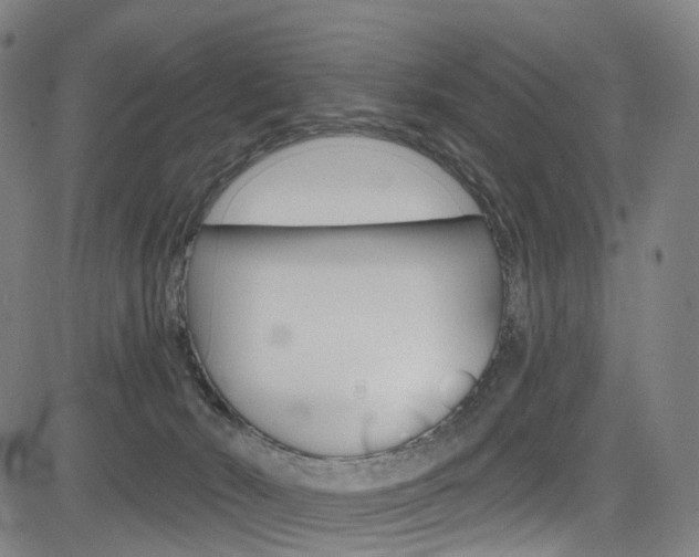 X0000085300030200703091131