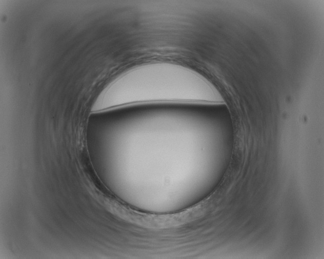 X0000085300031200703091131